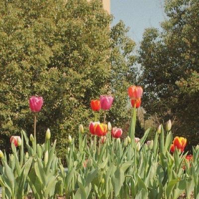 大发dafa888app下载