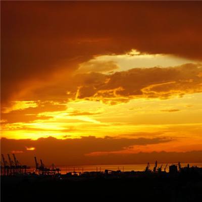 单机的打鱼游戏手机app下载截图