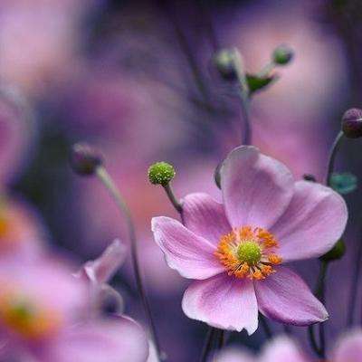 永盈会手机app下载