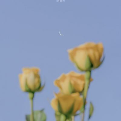 半岛综合娱乐app