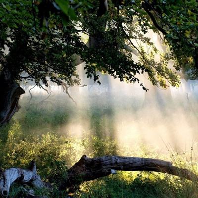 乐动体育网站官网版官方入口