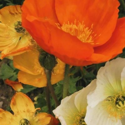 开元集团游戏网站