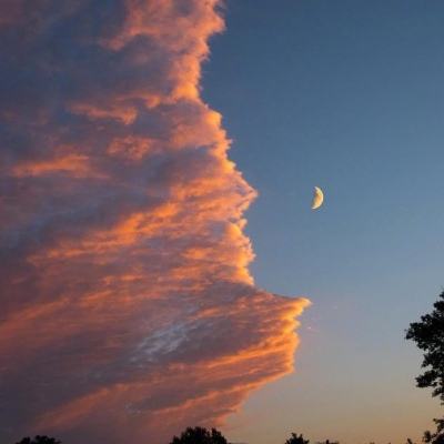 半岛官网入口网页版手机app下载