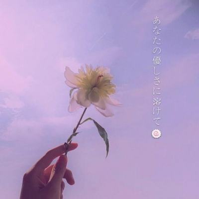 澳门一码一肖一特一中app下载