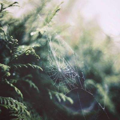 银河国际官网app下载app下载